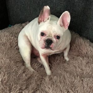 Meet your Posher, Wendy